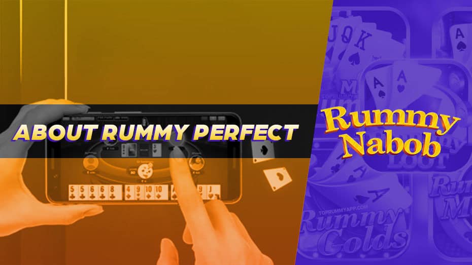 About Rummy Perfect